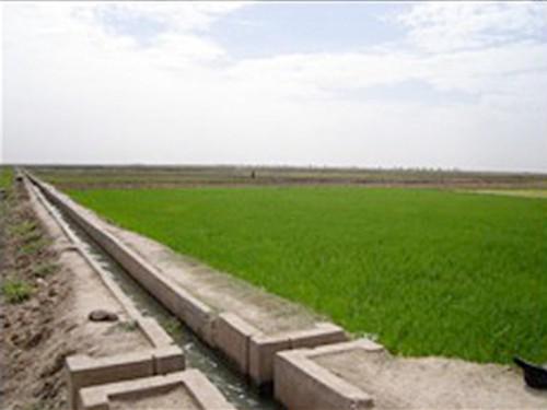 14/09/15 Le projet REAGIR permettra l’irrigation de 19 000 hectares de terres arables au Mali